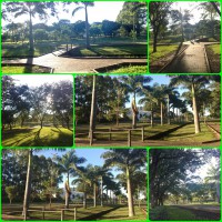 /album/galeria-de-fotos/bosque-jpg/